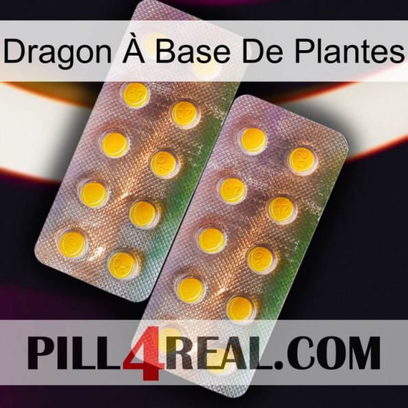 Dragon À Base De Plantes new10.jpg